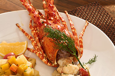 Lobster with creamy sauce at our Phuket restaurant