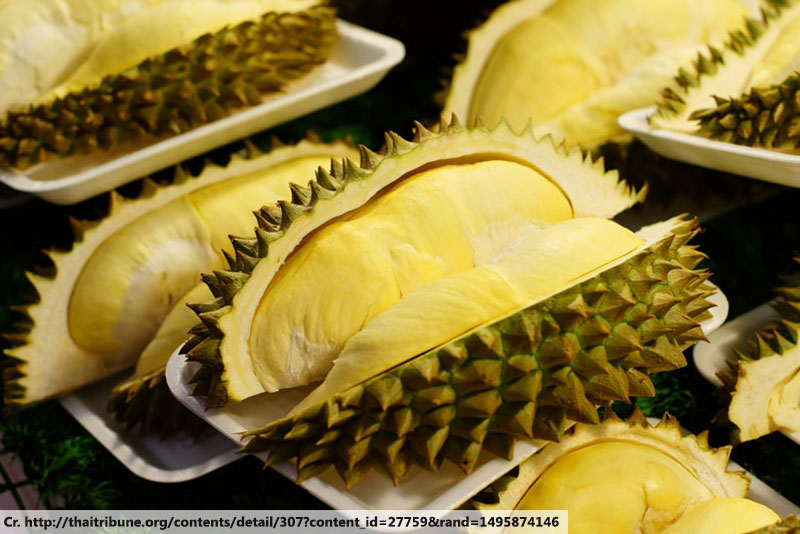 Durian, ทุเรียน, ผลไม้ไทย